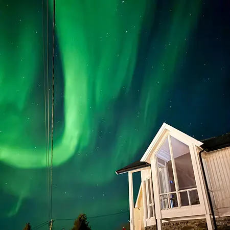 Panorama X 5 Min From Reine, Hamnoy And Bodo Ferry
