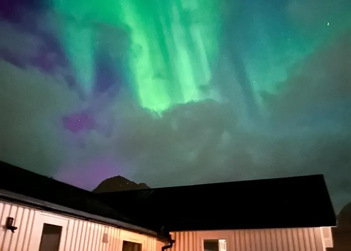 Panorama X 5 Min From Reine, Hamnoy And Bodo Ferry Prázdninový dům Moskenes