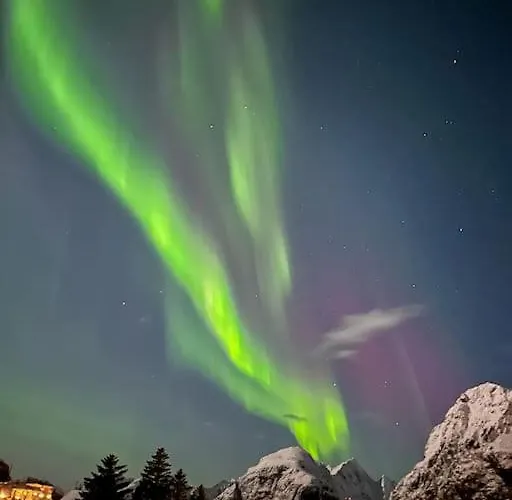 Panorama X 5 Min From Reine, Hamnoy And Bodo Ferry *