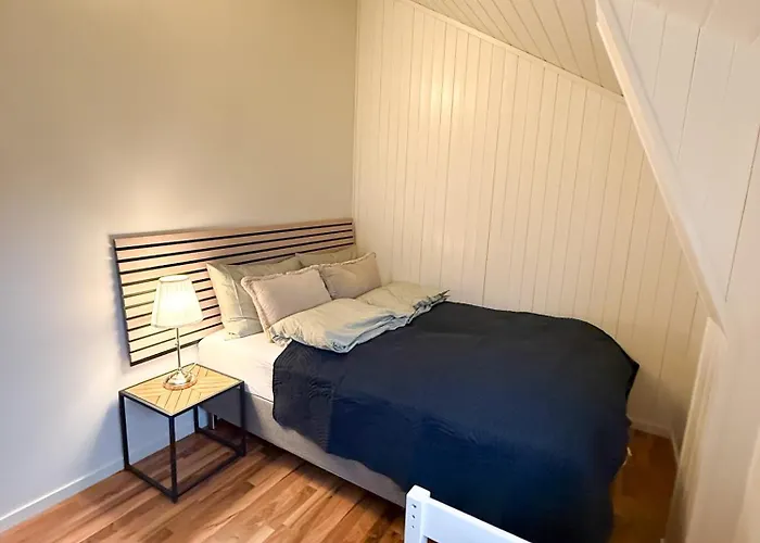 Panorama X 5 Min From Reine, Hamnoy And Bodo Ferry *