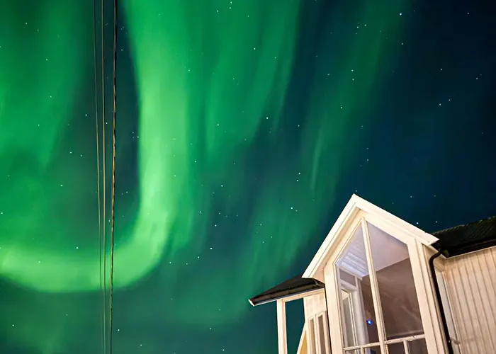 Panorama X 5 Min From Reine, Hamnoy And Bodo Ferry