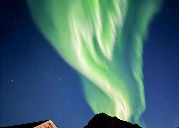 Panorama X 5 Min From Reine, Hamnoy And Bodo Ferry モスケネス
