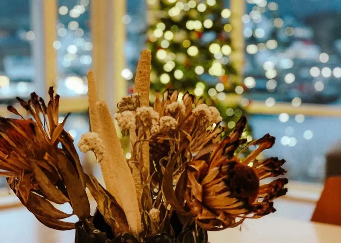 Casa vacanze Panorama X 5 Min From Reine, Hamnoy And Bodo Ferry